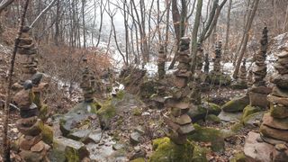 세미골곶감님의 자유주제 · 자유게시판 작성글 사진