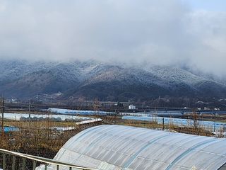 복숭아님의 자유주제 · 자유게시판 작성글 사진
