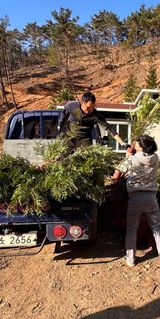 팜모닝 자유주제·자유게시판 게시글 이미지