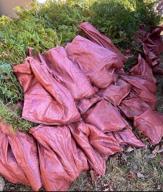 치유숲모이라양재순님의 자유주제 · 자유게시판 작성글 사진