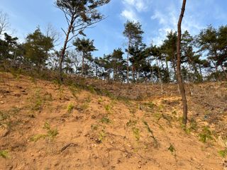 치유숲모이라양재순님의 자유주제 · 자유게시판 작성글 사진