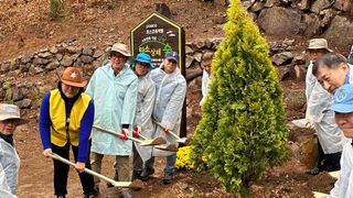 치유숲모이라양재순님의 자유주제 · 자유게시판 작성글 사진