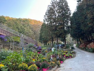 치유숲모이라양재순님의 자유주제 · 자유게시판 작성글 사진