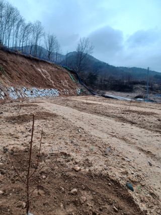 고공주님의 자두 · 자유게시판 작성글 사진