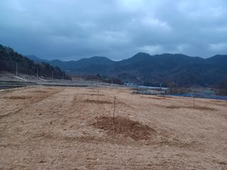 고공주님의 자두 · 자유게시판 작성글 사진