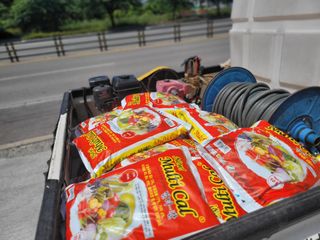 대산농사대장님의 양파 · 자유게시판 작성글 사진