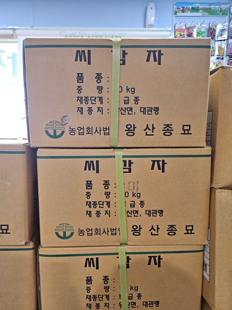 장터 상품 [[정품]단오수미 씨감자10kg] 썸네일