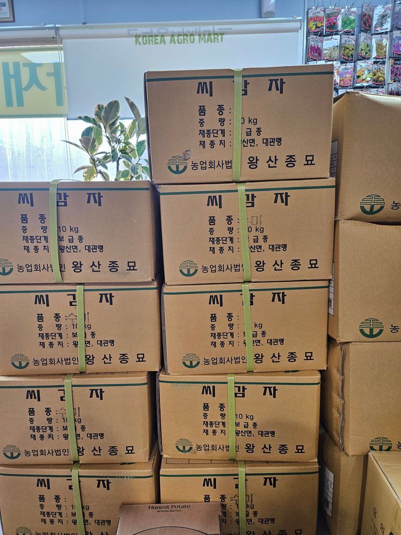 대산농사대장님의 장터 판매 상품 [[정품]단오수미 씨감자10kg] 첨부 사진