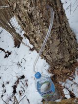 팜모닝 기타작물·자유게시판 게시글 이미지