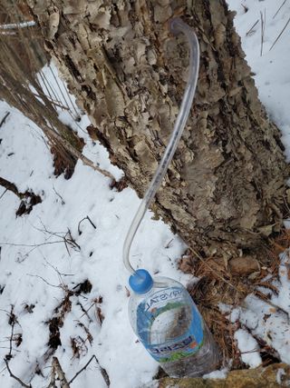 약초꾼님의 기타작물 · 자유게시판 작성글 사진