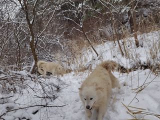 약초꾼님의 기타작물 · 자유게시판 작성글 사진