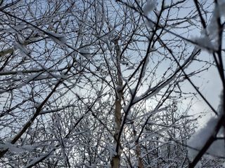 약초꾼님의 기타작물 · 자유게시판 작성글 사진