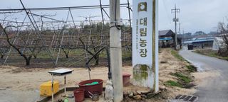 김중언님의 우리지역 대표작물 자랑하기 · 참여글 작성글 사진