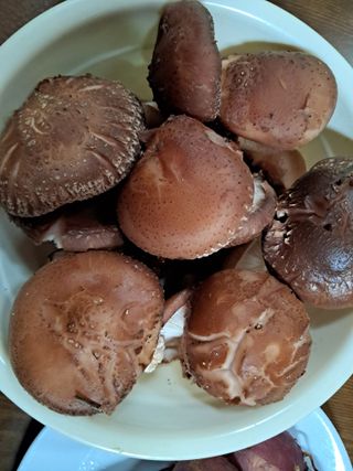 별빛농장지기님의 복숭아 · 자유게시판 작성글 사진