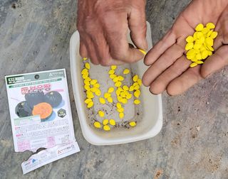 김중언님의 선도농가에 선정된 소감은? · 참여글 작성글 사진