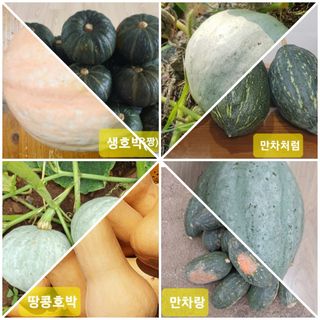 김중언님의 선도농가에 선정된 소감은? · 참여글 작성글 사진