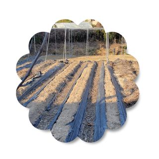 김중언님의 선도농가에 선정된 소감은? · 참여글 작성글 사진