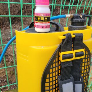 이창화님의 기타작물 · 자유게시판 작성글 사진