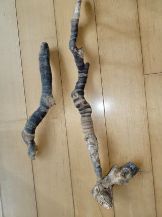 정원용님의 버섯 · 수확 작성글 사진