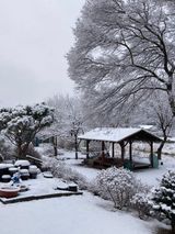 팜모닝 자유주제·사진전 게시글 이미지