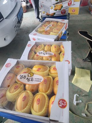 오여사님의 우리지역 대표작물 자랑하기 · 참여글 작성글 사진