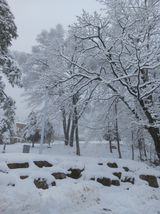 팜모닝 자유주제·사진전 게시글 이미지