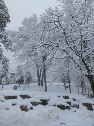 자유인 10496님의 자유주제 · 사진전 작성글 사진