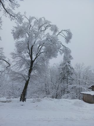 자유인 10496님의 자유주제 · 사진전 작성글 사진