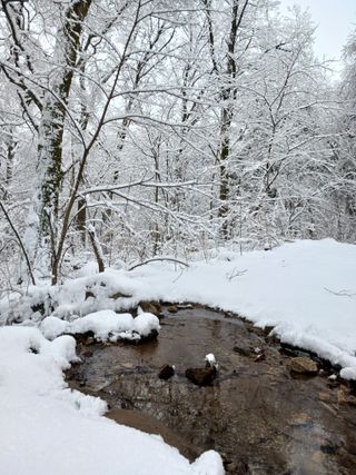 자유인 10496님의 자유주제 · 사진전 작성글 사진