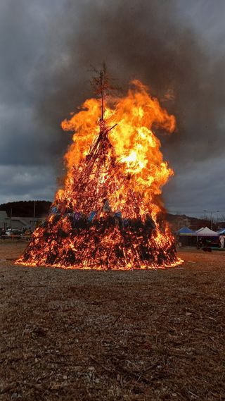 송월명님의 자유주제 · 자유게시판 작성글 사진