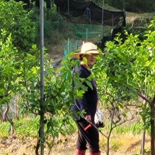 알 수 없음님의 우리지역 대표작물 자랑하기 · 참여글 작성글 사진