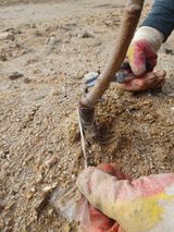 고공주님의 자두·자유게시판 작성글 사진