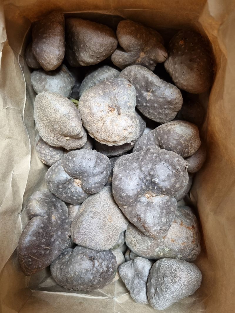 장터 상품 [하늘마 종자 1kg] 썸네일