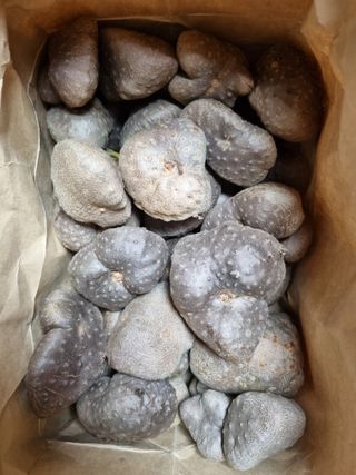 이문규님의 작성글 사진