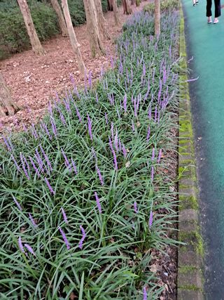 산이뜰(김정우)님의 팜모닝 · 출석 작성글 사진