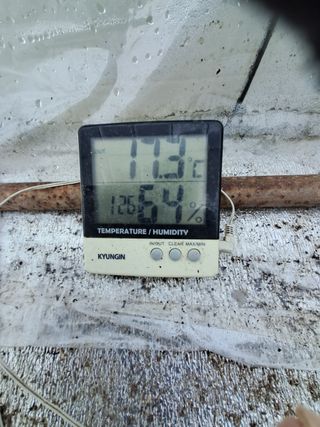 이천순님의 고추 · 파종•정식 작성글 사진