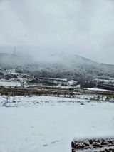 팜모닝 자유주제·자유게시판 게시글 이미지