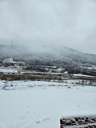 송인자님의 자유주제 · 자유게시판 작성글 사진