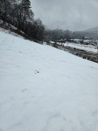 송인자님의 자유주제 · 자유게시판 작성글 사진