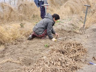 이창신님의 기타작물 · 자유게시판 작성글 사진