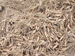 이창신님의 기타작물 · 자유게시판 작성글 사진