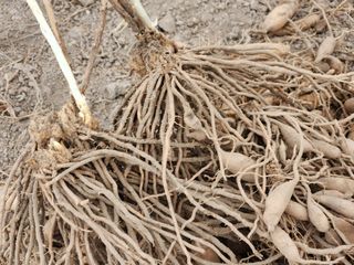 이창신님의 기타작물 · 자유게시판 작성글 사진