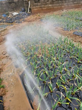 망운천지향토농원님의 자유주제 · 자유게시판 작성글 사진