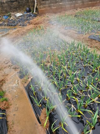 망운천지향토농원님의 자유주제 · 자유게시판 작성글 사진