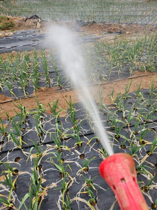 망운천지향토농원님의 자유주제 · 자유게시판 작성글 사진
