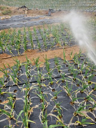 망운천지향토농원님의 자유주제 · 자유게시판 작성글 사진