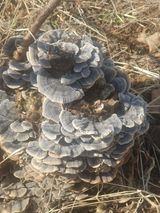 팜모닝 농사, 무엇이든 물어보세요!·참여글 게시글 이미지