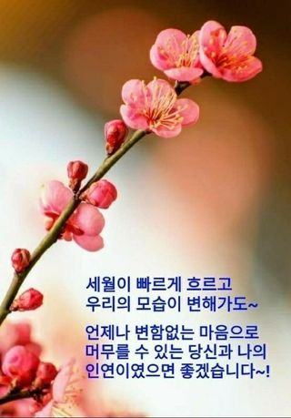 이주연님의 자유주제 · 자유게시판 작성글 사진
