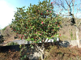 오영도님의 자유주제 · 자유게시판 작성글 사진
