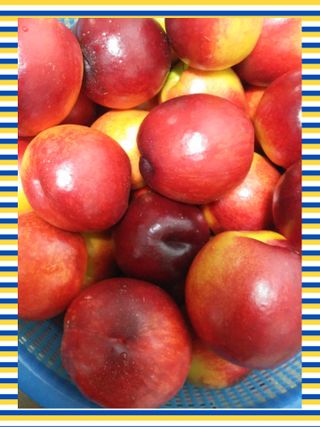 봉림동 태진농장님의 우리지역 대표작물 자랑하기 · 참여글 작성글 사진